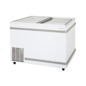 Chest Freezer